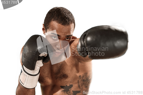 Image of Sporty man during boxing exercise. Photo of boxer on white background