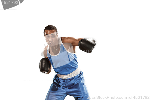 Image of Sporty man during boxing exercise. Photo of boxer on white background