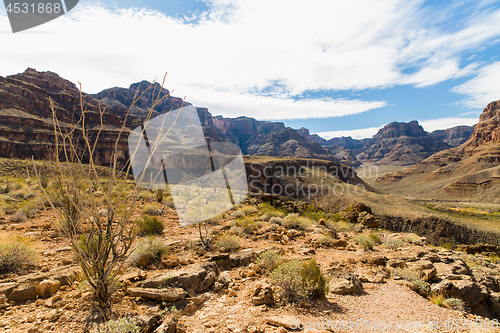 Image of view of grand canyon cliffs and desert