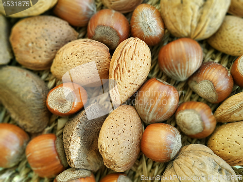 Image of Mix of different types nuts