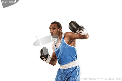 Image of Sporty man during boxing exercise. Photo of boxer on white background