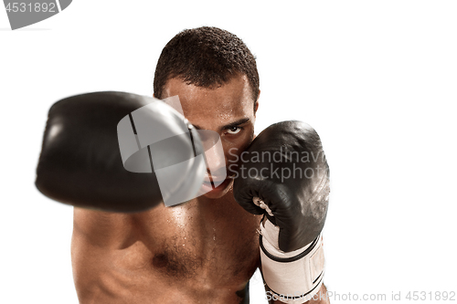 Image of Sporty man during boxing exercise. Photo of boxer on white background