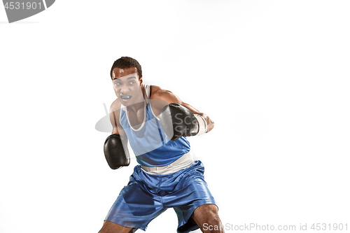 Image of Sporty man during boxing exercise. Photo of boxer on white background