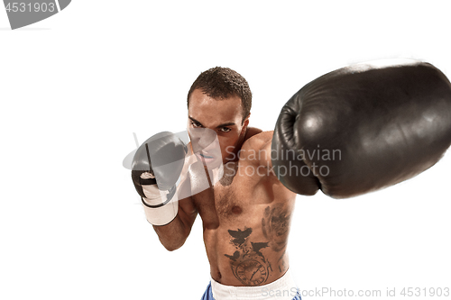 Image of Sporty man during boxing exercise. Photo of boxer on white background