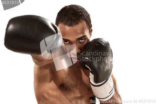 Image of Sporty man during boxing exercise. Photo of boxer on white background