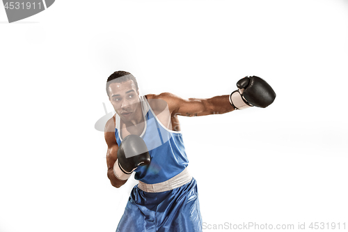 Image of Sporty man during boxing exercise. Photo of boxer on white background