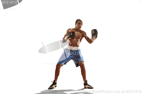 Image of Sporty man during boxing exercise. Photo of boxer on white background