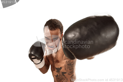 Image of Sporty man during boxing exercise. Photo of boxer on white background