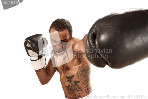 Image of Sporty man during boxing exercise. Photo of boxer on white background