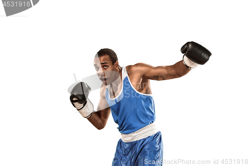 Image of Sporty man during boxing exercise. Photo of boxer on white background