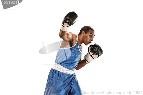 Image of Sporty man during boxing exercise. Photo of boxer on white background