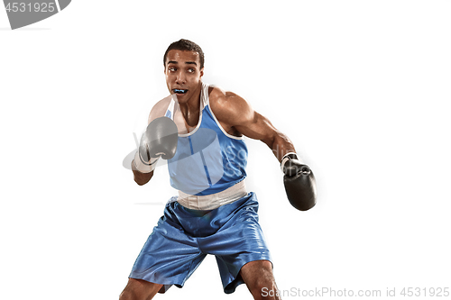 Image of Sporty man during boxing exercise. Photo of boxer on white background