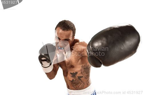 Image of Sporty man during boxing exercise. Photo of boxer on white background