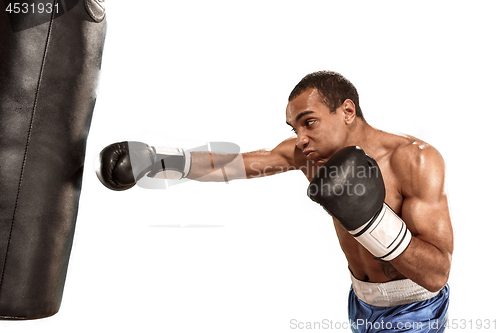 Image of Sporty man during boxing exercise making hit. Photo of boxer on white background