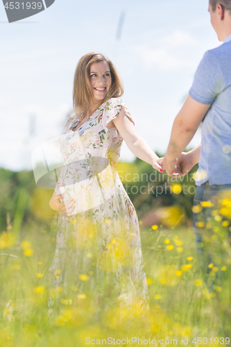 Image of Young happy pregnant couple in love holding hands, relaxing in meadow.