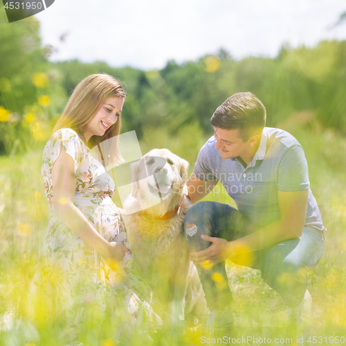 Image of Young happy pregnant couple petting it\'s Golden retriever dog outdoors in meadow.