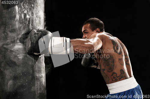 Image of Boxing training and punching bag