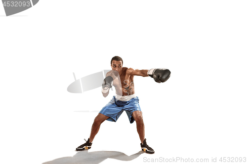 Image of Sporty man during boxing exercise. Photo of boxer on white background