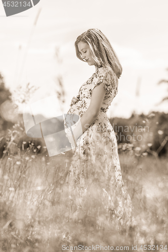 Image of Beautiful pregnant woman in white summer dress in meadow full of yellow blooming flovers.