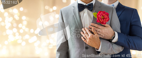 Image of close up of happy male gay couple