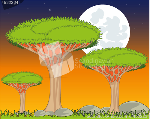 Image of Landscape with exotic dragon tree in the night