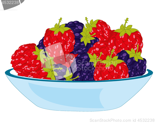 Image of Vector illustration of the berry blackberry and raspberry on plate