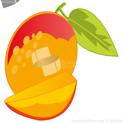 Image of Fruit mango on white background is insulated