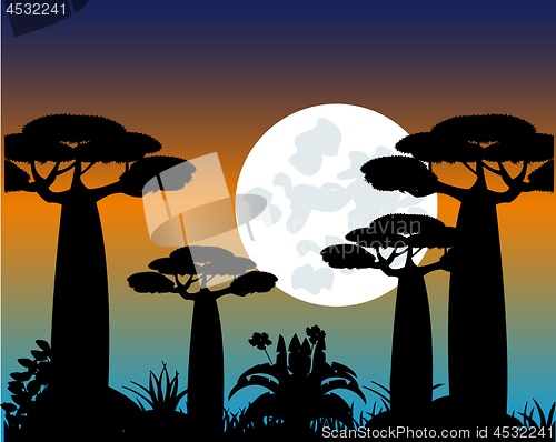 Image of Tree baobab at moon in the night