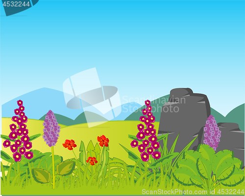 Image of Year landscape glade with plants and distant mountains