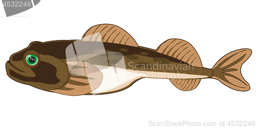 Image of Fish goby on white background is insulated