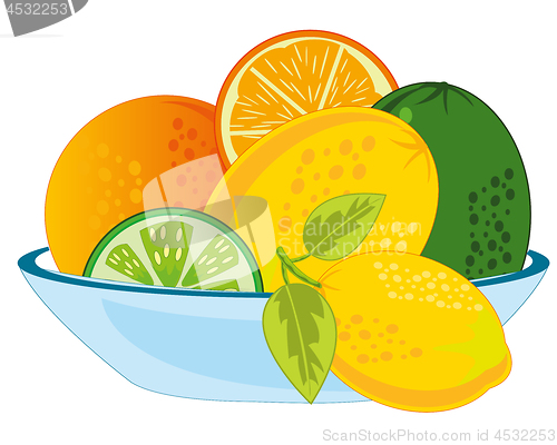 Image of Vector illustration fruit fruit citrus on plate