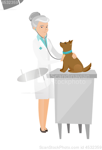 Image of Senior caucasian veterinarian examining dog.