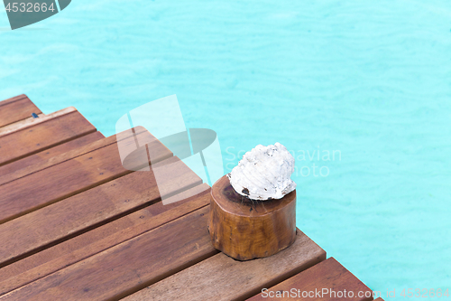 Image of seashell on wooden pier in sea water