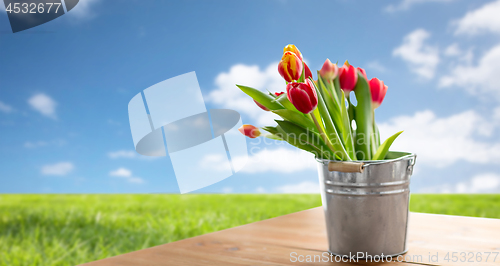 Image of red tulip flowers on table over blue sky and grass