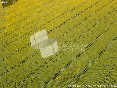 Image of Aerial view from the drone to fields with crops in the spring at sunset