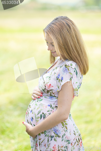 Image of Beautiful pregnant woman in white summer dress in meadow full of yellow blooming flovers.