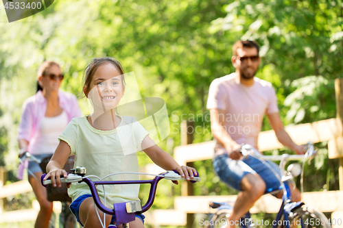 Image of happy family riding bicycles in summer park