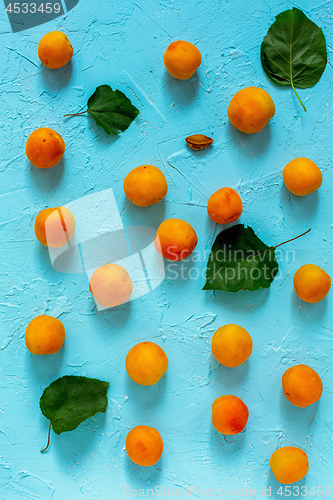 Image of Organic sweet apricots.