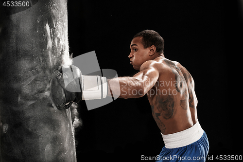 Image of Boxing training and punching bag