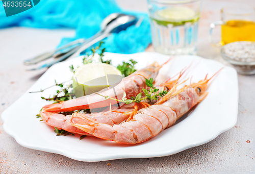 Image of shrimps
