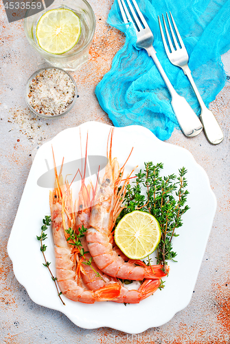 Image of shrimps