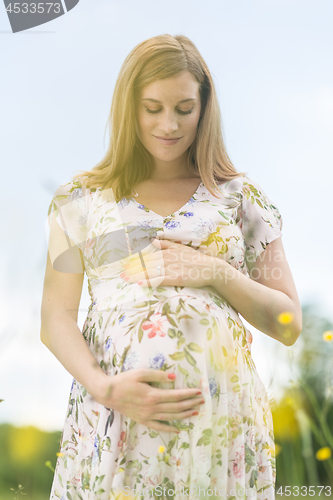 Image of Beautiful pregnant woman in white summer dress in meadow full of yellow blooming flowers.