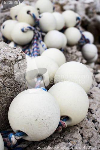 Image of White stuff on fishing net