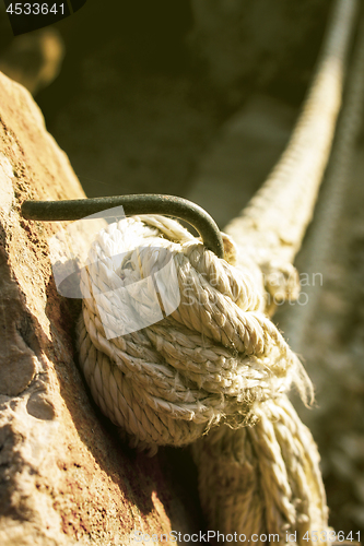 Image of Tied tick cord