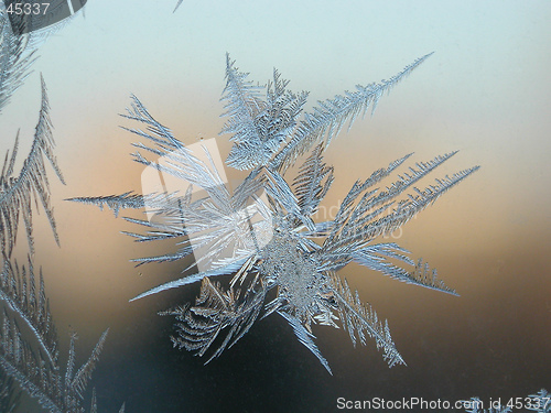 Image of Winter