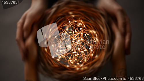 Image of wreath of twigs and Christmas lights