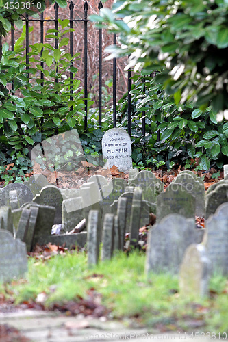Image of Muffin Tombstone