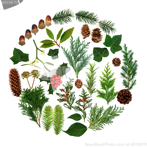 Image of Winter and Christmas Flora and Fauna