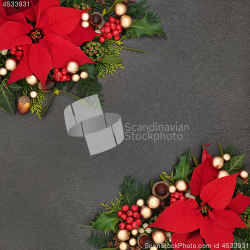 Image of Christmas Poinsettia Flower Border