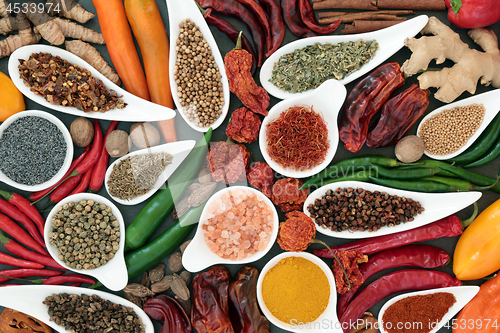 Image of Herb and Spice Seasoning Selection